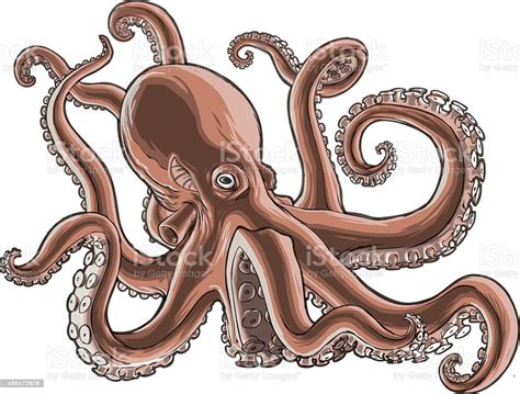 Detailed Shaded Vector Illustration Of An Octopus Stock