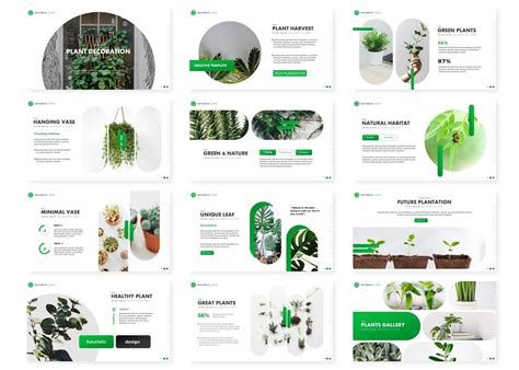 Plant Powerpoint Template Keynote Template Powerpoint Templates