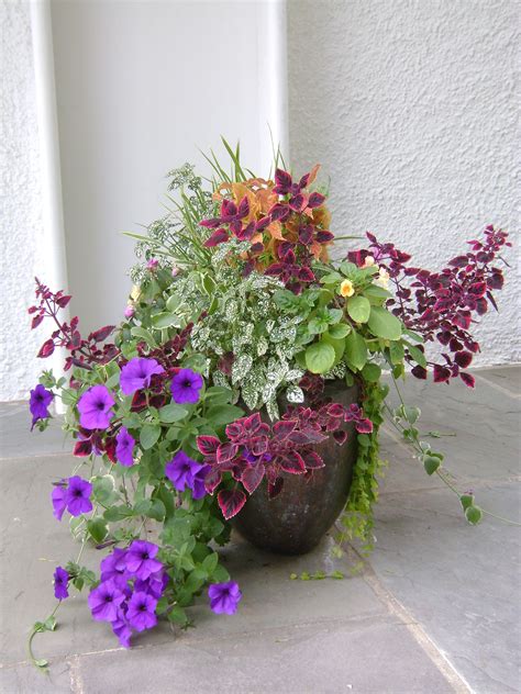 Check spelling or type a new query. Summer flower pot with overflowing varieties #summer # ...