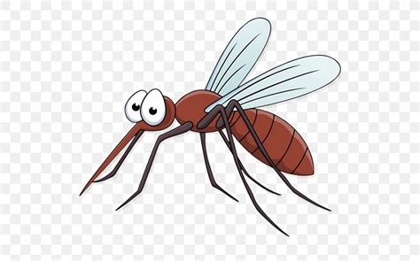 Clip Art Vector Graphics Stock Illustration Mosquito Png 512x512px