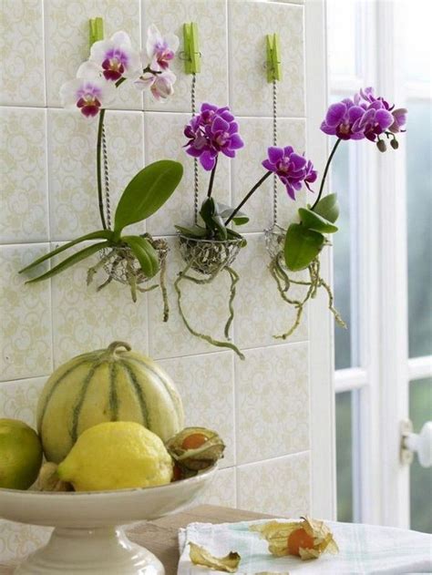 33 Beautiful Hanging Orchids Design Ideas Homepiez In 2020 Hanging Orchid Growing Orchids