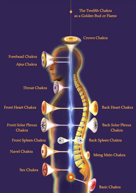 There are no mechanical openings in our body. Major Chakras or Energy Centers | The Pranic Healers