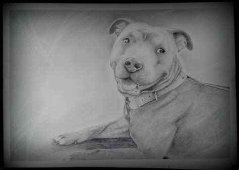 Dagmara Draws Portret Psa