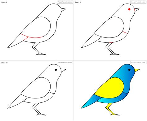How To Draw A Budgie Step By Step The Pose Is Ready So Now Let S Add