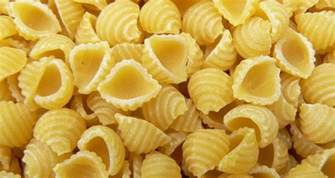 Types Of Pasta Commonly Used For Macaroni And Cheese