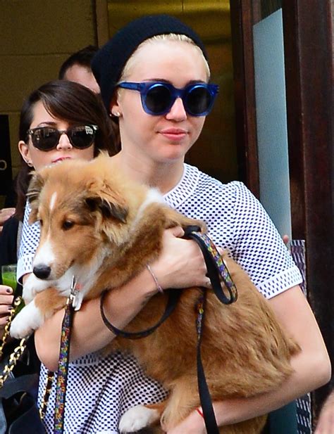 A Complete Guide To Every One Of Miley Cyruss Pets Teen Vogue