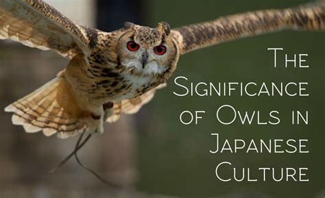 猫头鹰在日本文化中的意义与意义——猫头鹰观 188jdc金宝搏