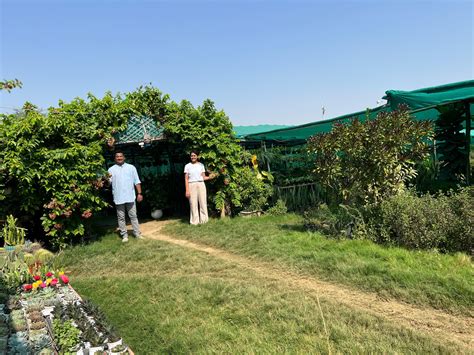 Maati Plants Nursery: Your Green Haven for Plants, Pots, Compost, and