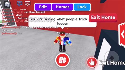 Seeing What People Trade For A Toucan Roblox Adoptme Youtube