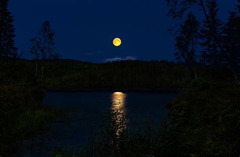Full Moon Over Forest And River Hd Wallpaper Background Image 1920x1255