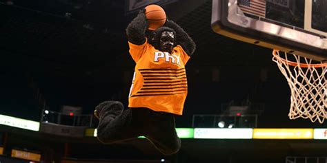 Phoenix — in 1980, a guy dressed in a gorilla suit showed up at a phoenix suns game to deliver a singing telegram to a fan who he was such a big hit the team made the gorilla its official mascot. Phoenix Suns Gorilla marks 35 years as team's mascot - KTAR.com