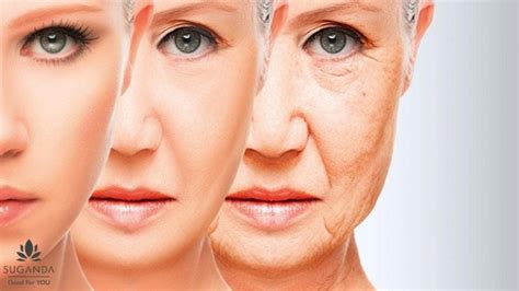 5 Anti Aging Secrets That Really Work By Suganda Skincare Medium