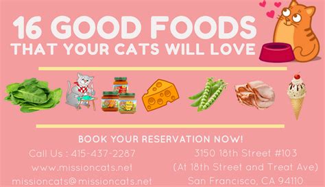 If you're concerned about proper feline nutrition, ingredient quality, allergies according to their website, i and love and you make grain free and raw foods, healthy chews + treats, and supplements. 16 Good Foods That Your Cats Will Love | Mission: Cats