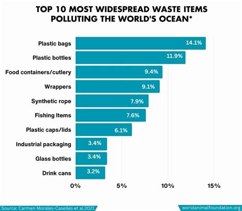 What Lies Beneath Startling Ocean Pollution Facts Revealed