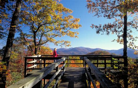 Its Leaf Watching Time In The Georgia Mountains State News