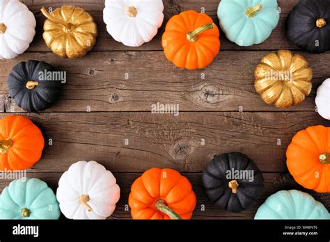 Autumn Frame Of Various Colorful Pumpkins On A Rustic Wood Background