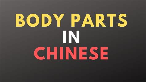 Body Parts In Chinese Learn Chinese Vocabulary How To Learn Chinese