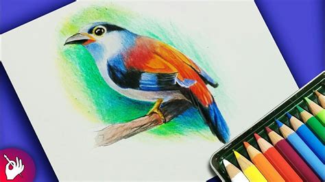Nice Drawing With Colour Pencil Learn To Choose The Right Colours And