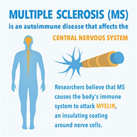 What Is Multiple Sclerosis Ms