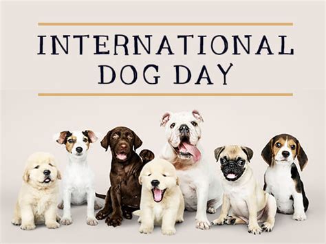 International Dog Day 2021 Daneelyunus