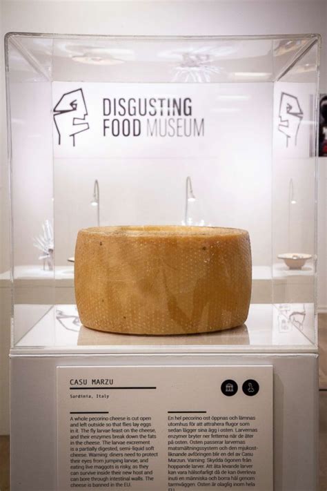 Root Beer Pop Tarts And Other American Classics Feature In Swedens Museum Of Disgusting Food