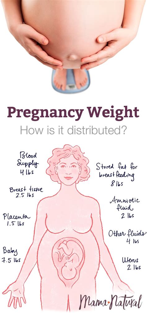 The Truth About Pregnancy Weight Gain Mama Natural