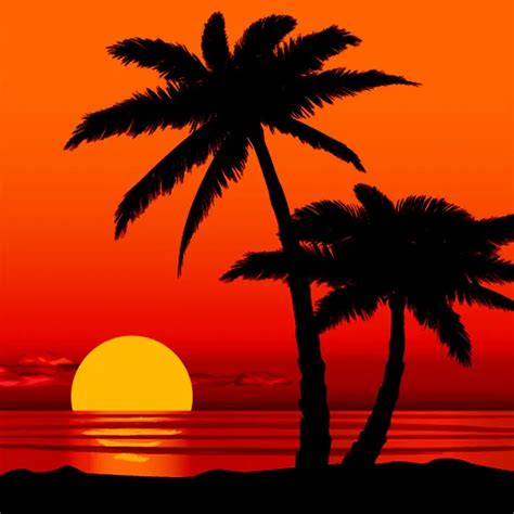Beach Seaside Summer Holidays Ocean Sunset Palm Tree Background Vinyl