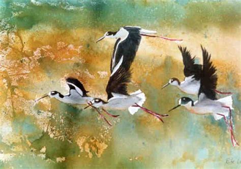 Watercolor Paintings Of Birds We Need Fun