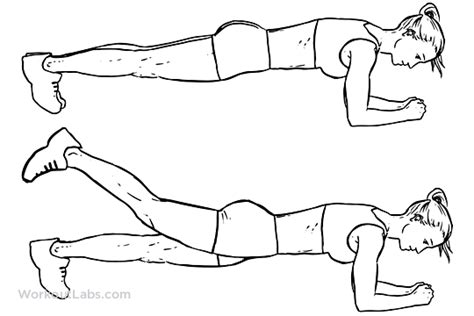 Plank Leg Lift Illustrated Exercise Guide Workoutlabs
