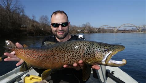 Some anglers argue that it has the best trout fishing in the whole country, especially the tailwater directly below flaming gorge dam. Guided Fly Fishing Trips - Dally's Ozark Fly Fisher