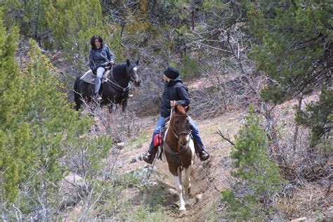 Horseback Riding Trails Around The Royal Gorge Royal Gorge Region