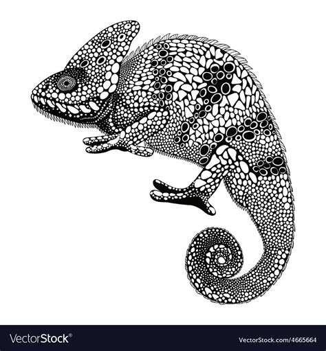 Entangle Stylized Chameleon Hand Drawn Reptile Vector Image
