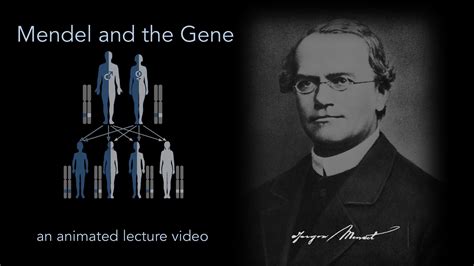 Mendel And The Gene E Chapter The Biology Primer