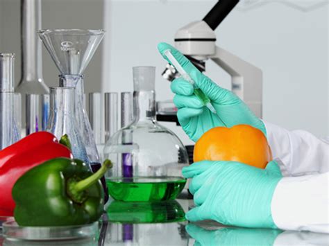 Evidence you will need to provide. Graduate Program Programs - admission - Minhaj University ...