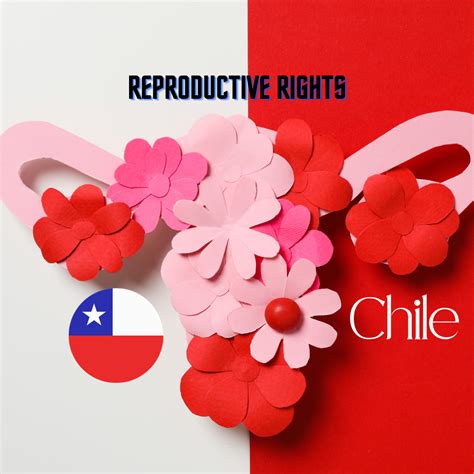 Chile Report On Reproductive Rights