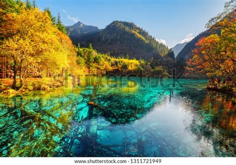Scenic View Five Flower Lake Among Stock Photo Edit Now 1311721949