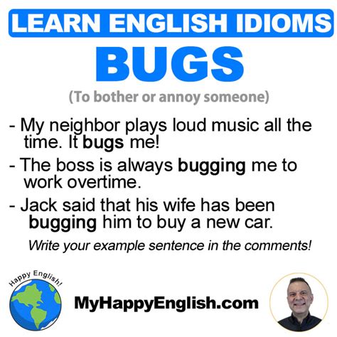 Learn English Idioms Bugs Happy English Free English Lessons