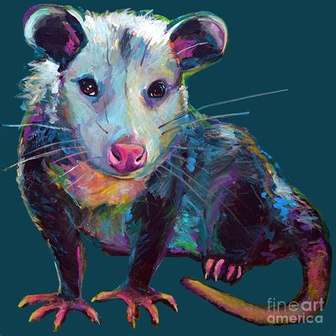 Beethove The Opossum Painting By Robert Phelps Fine Art America
