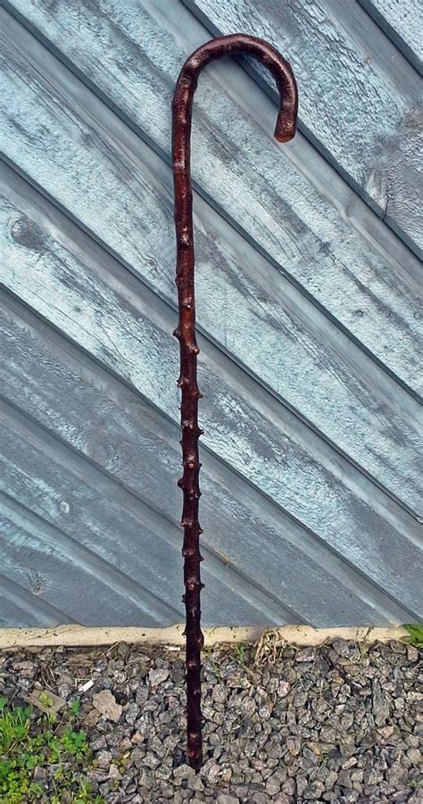 This Item Is Unavailable Etsy Blackthorn Walking Stick Walking