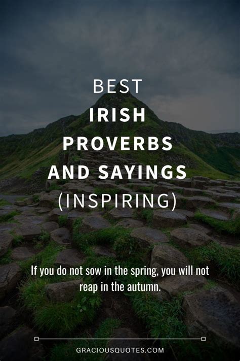 58 Best Irish Proverbs And Sayings Inspiring