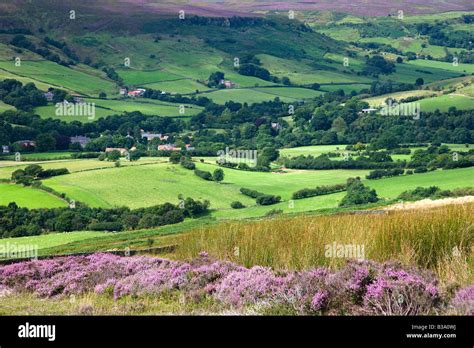 Heather Moorland Above Rosedale Abbey From Hartoft Rigg North York