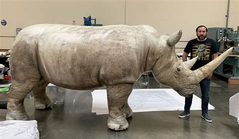 Realistic Inflatable Rhino