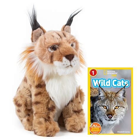 Lynx Stuffed Animal National Geographic Readers Wild Cats L1