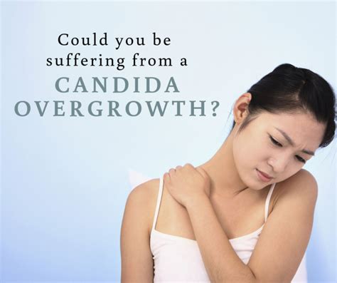 candida are you experiencing yeast overgrowth vibrant living naturopathic and wellness center