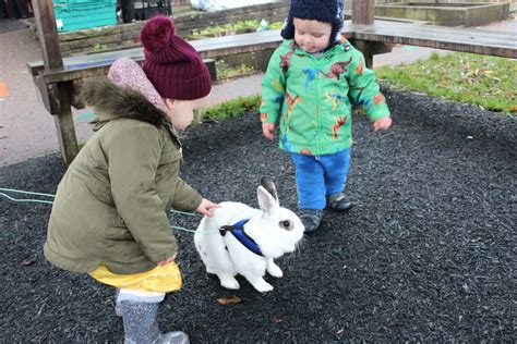 Rabbit Walk The Old Forge Day Nursery