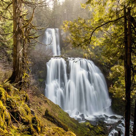 Top Waterfall Trails In The Willamette Valley Travel Oregon