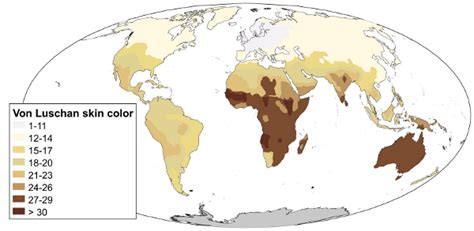 Human Displacement Map Based On The Von Luschan Chromatic Scale