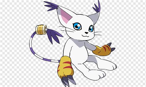 Gatomon Kari Kamiya Digimon Adventure Tri Digimon Mammal Cat Like