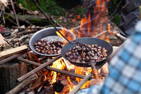How To Roast Chestnuts On An Open Fire Step By Step Outdoor Happens