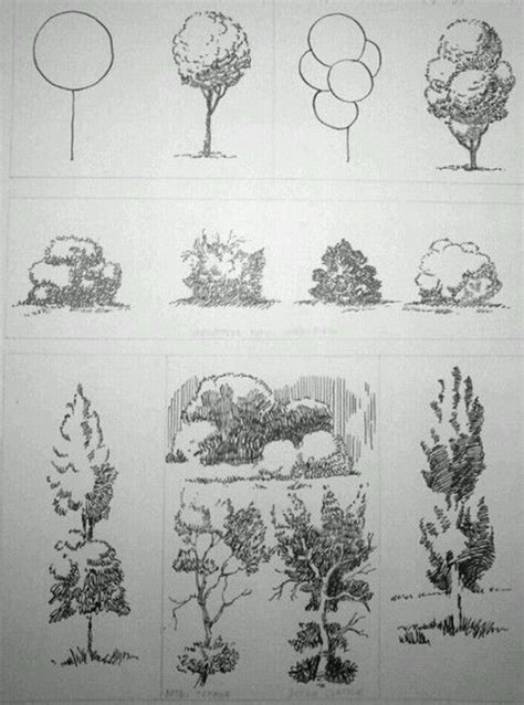 Free pdf downloads are available for each and every project. How To Draw A Tree (Step By Step Image Guides)